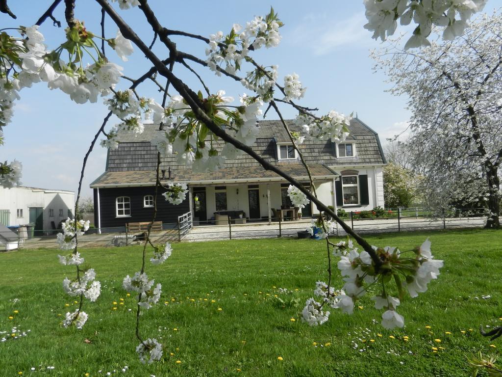 B&B De Bloesemgaard Eck en Wiel Bagian luar foto